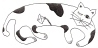 右向きの猫